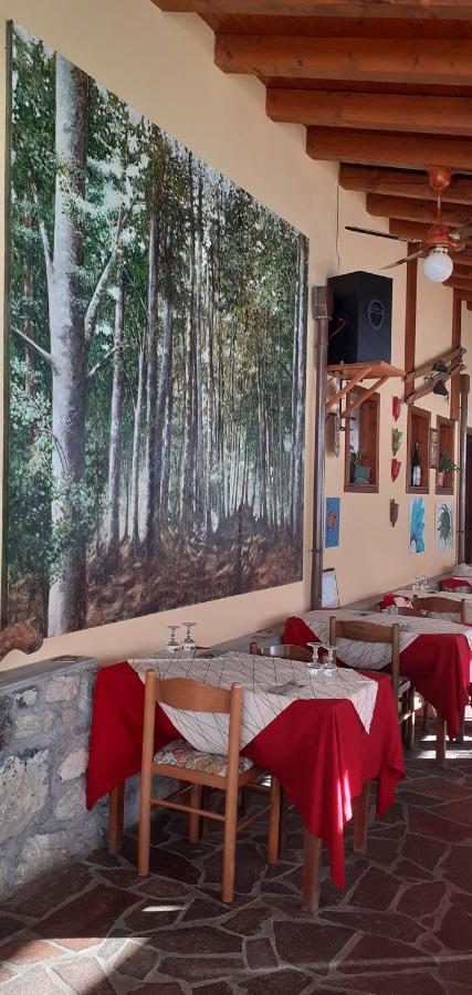 Albergo Nuoitas Forni di Sopra Bagian luar foto